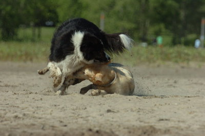 Aug5_06_354.JPG