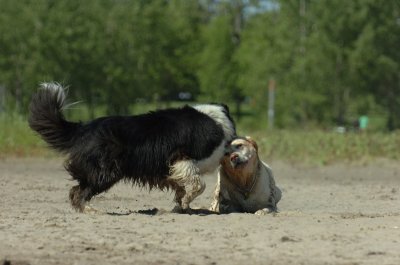 Aug5_06_355.JPG