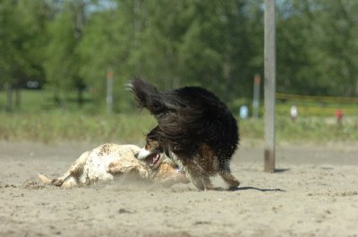 Aug5_06_356.JPG
