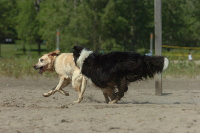 Aug5_06_357.JPG
