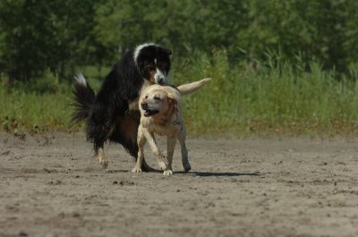 Aug5_06_359.JPG