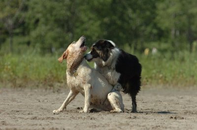 Aug5_06_361.JPG