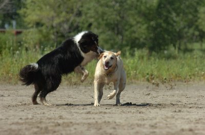 Aug5_06_362.JPG