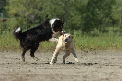 Aug5_06_363.JPG