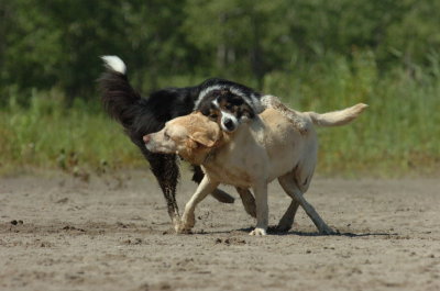 Aug5_06_364.JPG