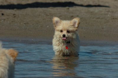 Aug5_06_371.JPG
