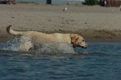 Aug5_06_377.JPG