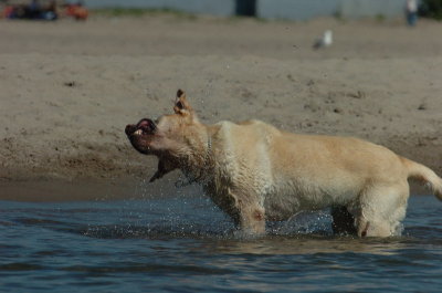 Aug5_06_378.JPG