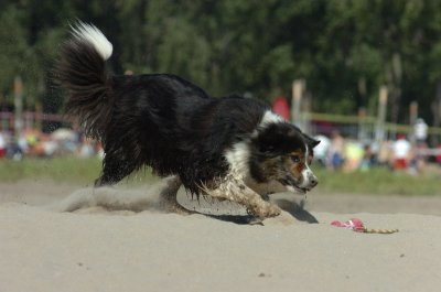 Aug5_06_384.JPG