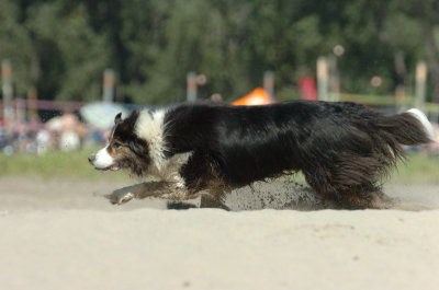 Aug5_06_388.JPG