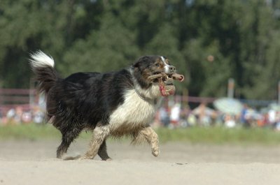 Aug5_06_390.JPG