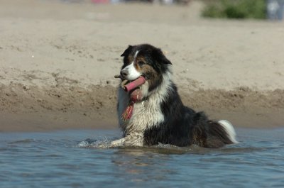 Aug5_06_391.JPG