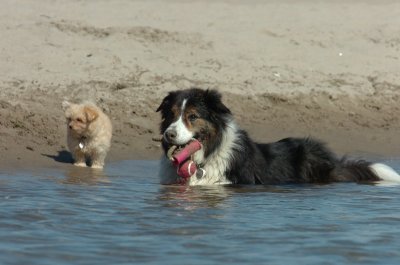 Aug5_06_395.JPG