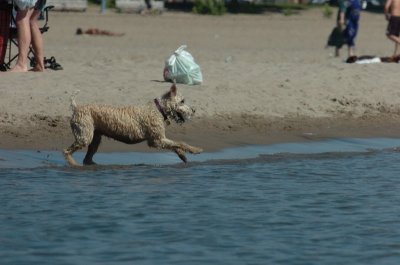 Aug5_06_397.JPG