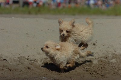 Aug5_06_402.JPG