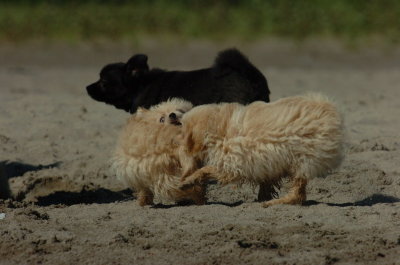 Aug5_06_404.JPG