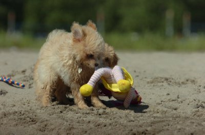 Aug5_06_406.JPG