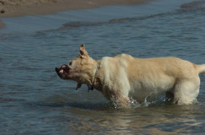 Aug5_06_410.JPG