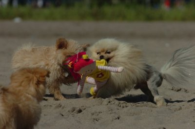 Aug5_06_414.JPG