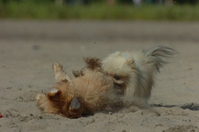 Aug5_06_415.JPG