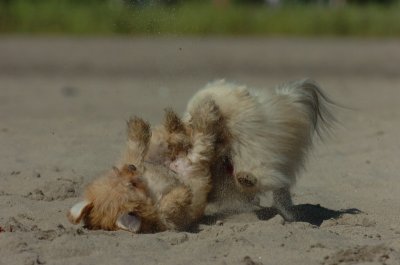 Aug5_06_416.JPG