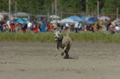 Aug5_06_425.JPG
