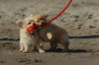 Aug6_06_031.JPG