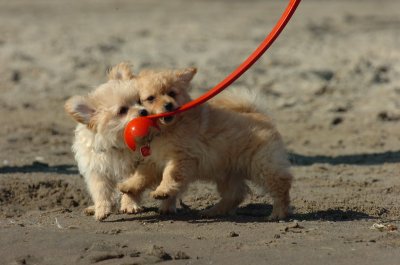 Aug6_06_032.JPG