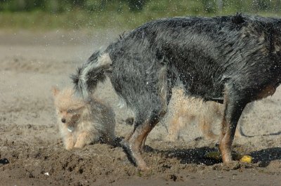Aug6_06_039.JPG