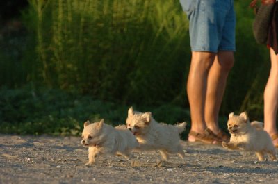 Aug7_06_343.JPG