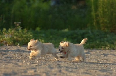 Aug7_06_345.JPG
