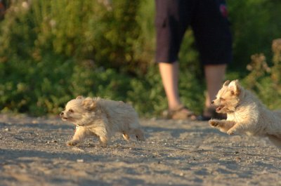 Aug7_06_346.JPG