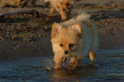 Aug7_06_351.JPG