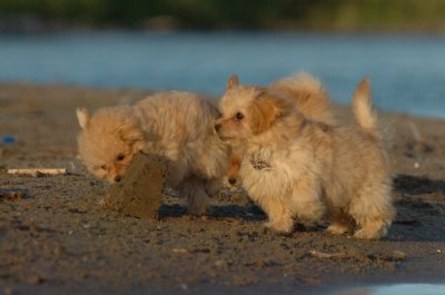 Aug7_06_358.JPG
