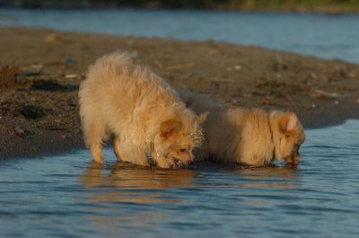 Aug7_06_366.JPG