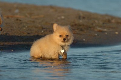 Aug7_06_367.JPG