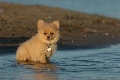 Aug7_06_368.JPG