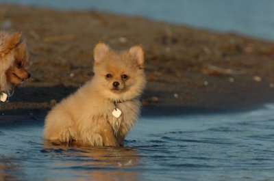 Aug7_06_369.JPG