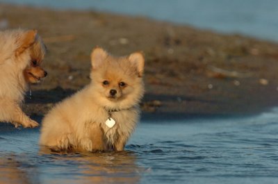 Aug7_06_370.JPG
