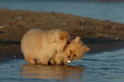 Aug7_06_372.JPG