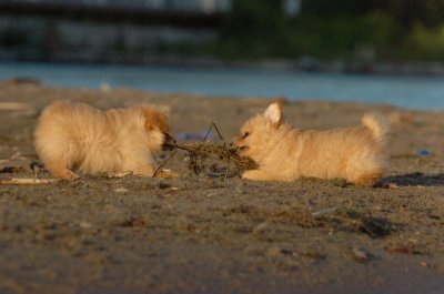 Aug7_06_374.JPG