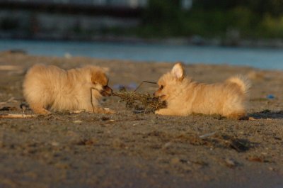 Aug7_06_375.JPG