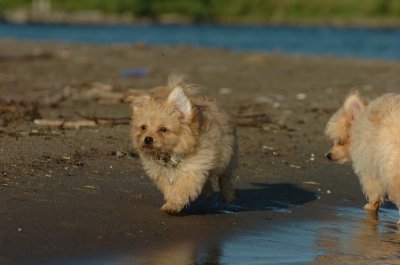 Aug7_06_165.JPG