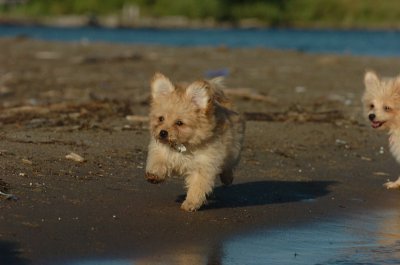 Aug7_06_166.JPG