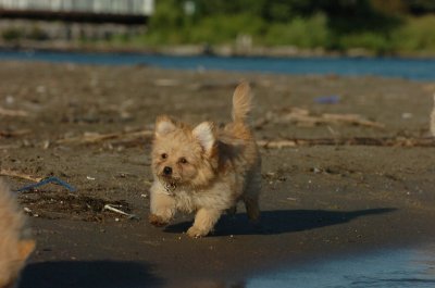 Aug7_06_167.JPG