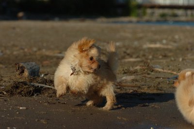 Aug7_06_168.JPG