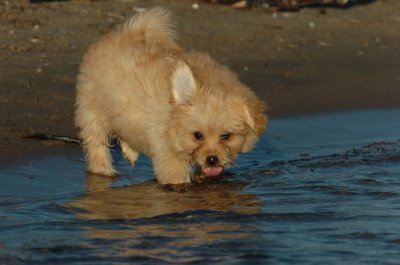 Aug7_06_173.JPG