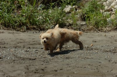 Aug9_06_332.JPG