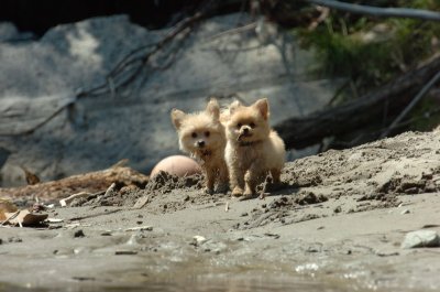 Aug9_06_341.JPG