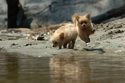 Aug9_06_342.JPG